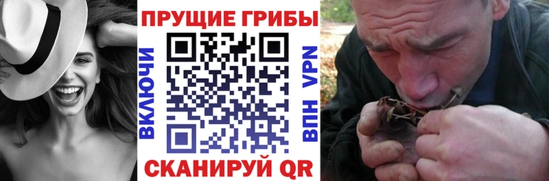 Псилоцибиновые грибы Psilocybine cubensis  Канаш 